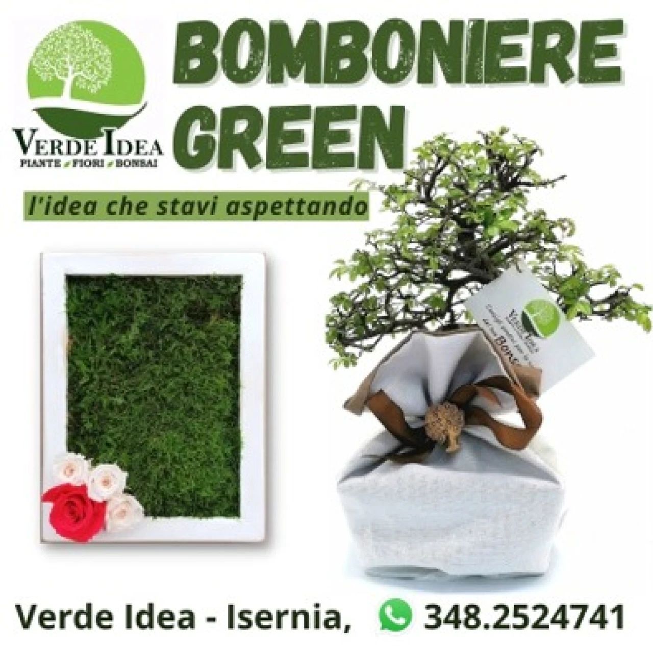 Banner Verde Idea bomboniere bonsai 306 per 306 pixel